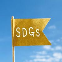 「SDGs」認知は5割超も行動には移せず？